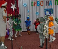 DSC00009 (3)