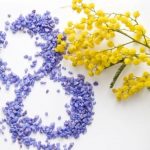 Її величність – жінка