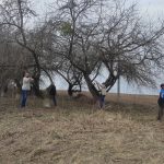 Участь у благоустрою та озелененню території закладу