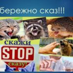 Обережно сказ