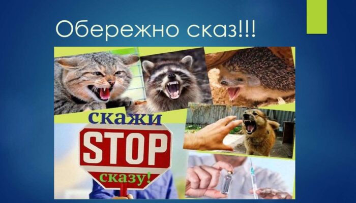 oberezhno-skaz_page-0001