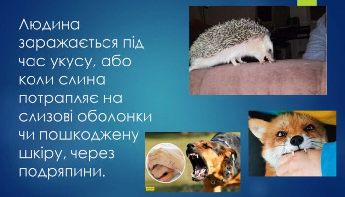 oberezhno-skaz_page-0011