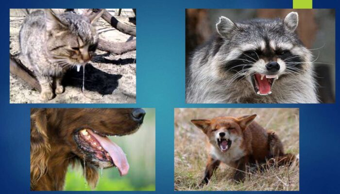 oberezhno-skaz_page-0013